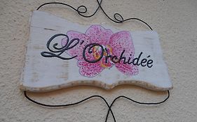 L'Orchidée